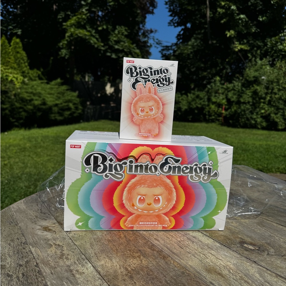Biginto Energy Labubu / surprise box / one box